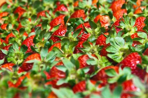 Strawberries texture background Stock Photos