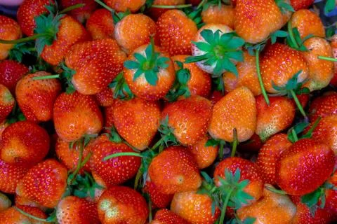 Strawberries texture close up on background. Stock Photos