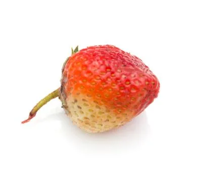 Strawberries on a white background Stock Photos
