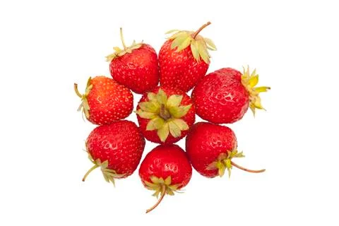 Strawberries on a white background Stock Photos
