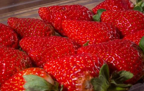 Strawberries on a white background Stock Photos