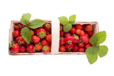 Strawberries on white Stock Photos