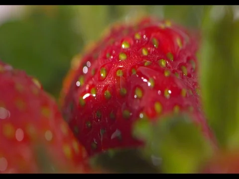 Strawberries on a white plate being sprayed with water, close-up Stock Footage 74196743