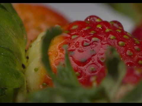 Strawberries on a white plate being sprayed with water Stock Footage 74201738