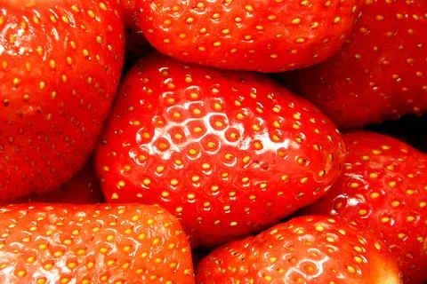 Strawberries without stem closeup background. Red ripe berries with yellow se 스톡 사진