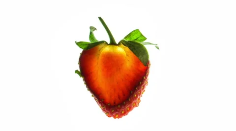 Strawberry 1 Stock Footage 65225485
