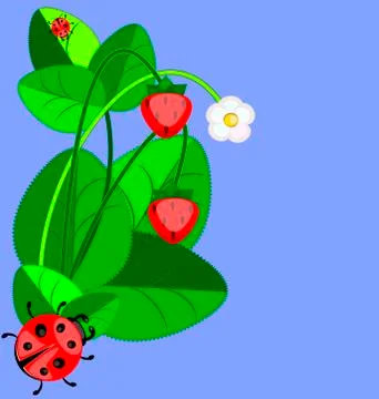 Strawberry and ladybug Stock Illustration