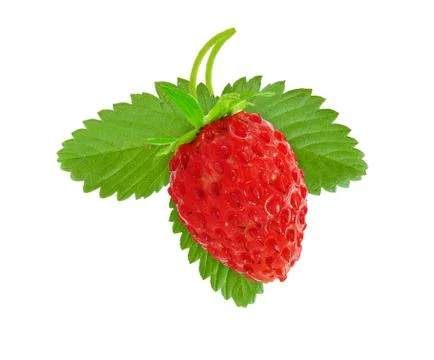 Strawberry and leaf Stock Photos