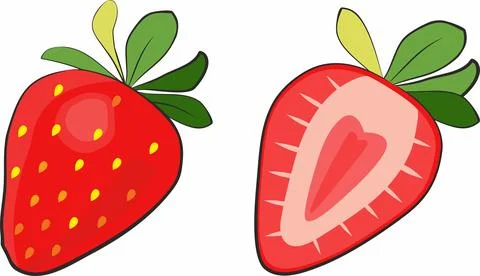 Strawberry and slice of strawberry. Vector illustration set pack Stock Illustration