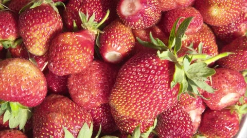 Strawberry background. Food background. 스톡 동영상 196391348