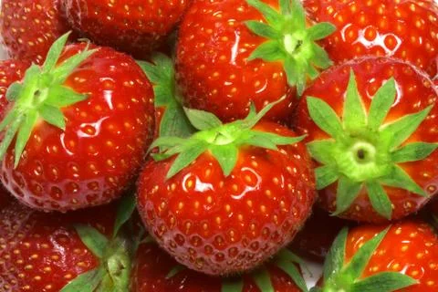 Strawberry background Stock Photos