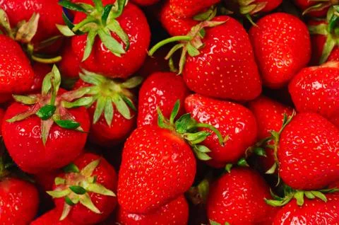 Strawberry background Фото