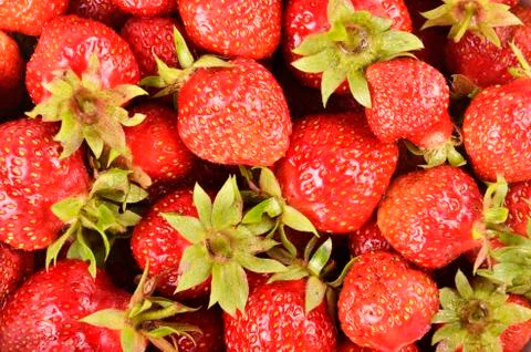 Strawberry background Stock Photos