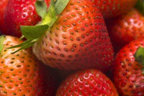 Strawberry background Stock Photos