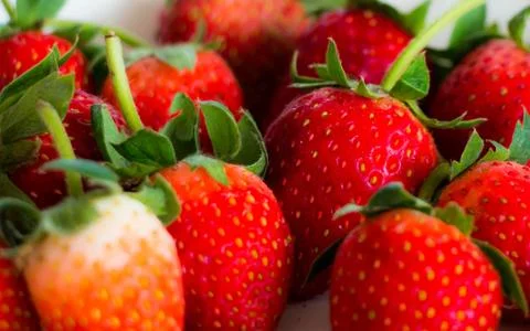 Strawberry background Stock Photos