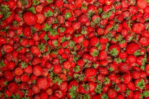 Strawberry background Stock Photos