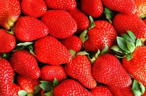 Strawberry background Stock Photos