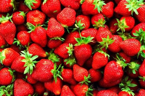 Strawberry background Stock Photos