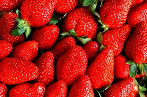 Strawberry background Stock Photos