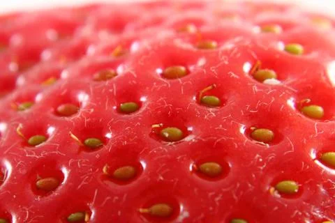 Strawberry background Stock Photos