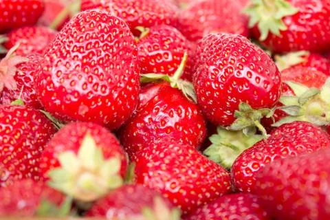 Strawberry background Stock Photos