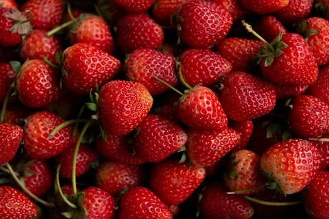 Strawberry background wallpaper Stock Photos