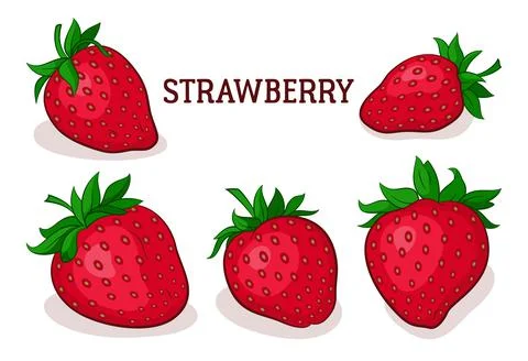 Strawberry Berries Stock Illustration