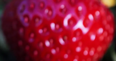 Strawberry berry is approaching in close-up Stock Footage 315052053
