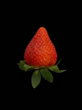 Strawberry on a black background Stock Photos