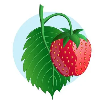 Strawberry on blue background. Illustrazione stock