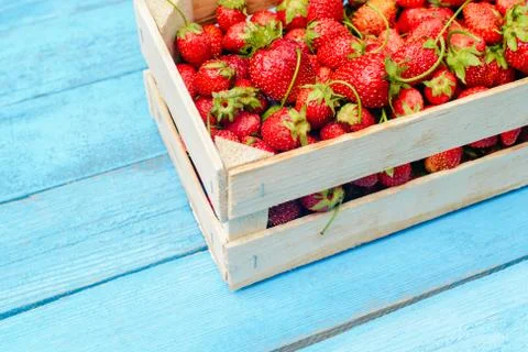 Strawberry in a box Stock Photos
