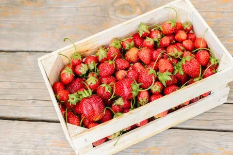 Strawberry in a box Stock Photos