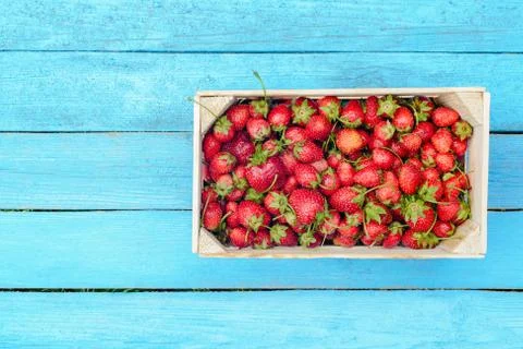 Strawberry in a box Stock Photos