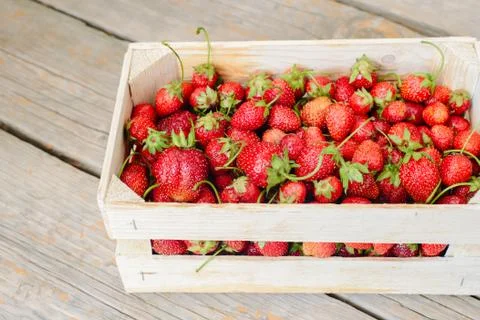 Strawberry in a box Stock Photos