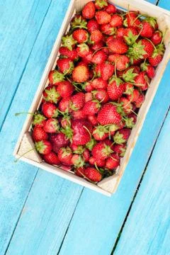 Strawberry in a box Stock Photos