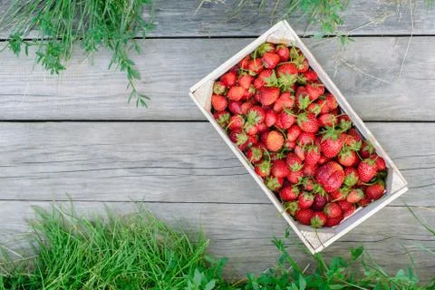 Strawberry in a box Stock Photos