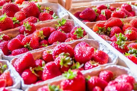 Strawberry boxes Stock Photos