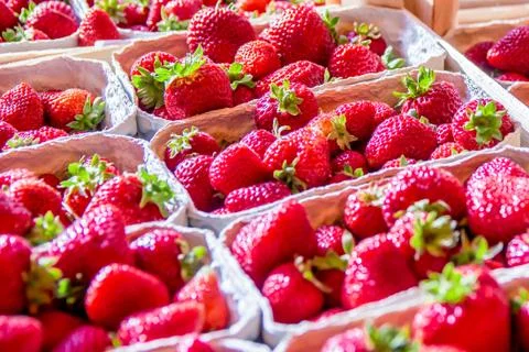 Strawberry boxes Stock Photos