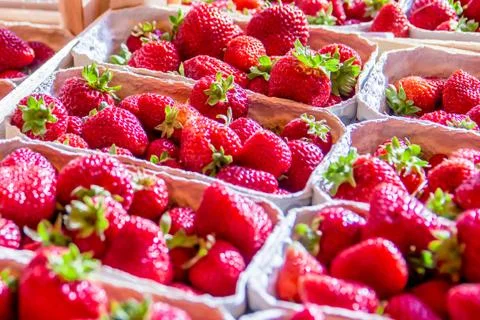 Strawberry boxes Foto stock