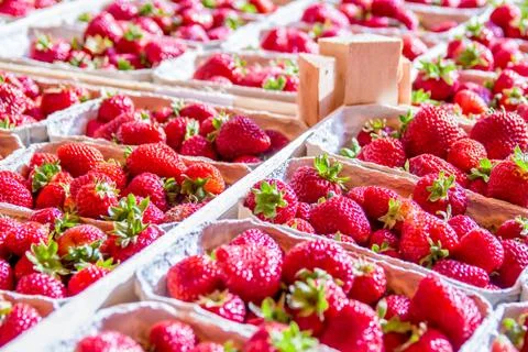 Strawberry boxes Stock Photos