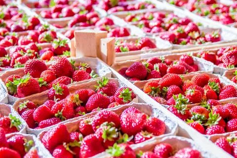 Strawberry boxes Stock Photos
