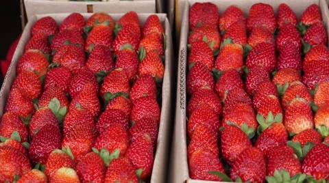 Strawberry boxes for sell Video stock 60951892