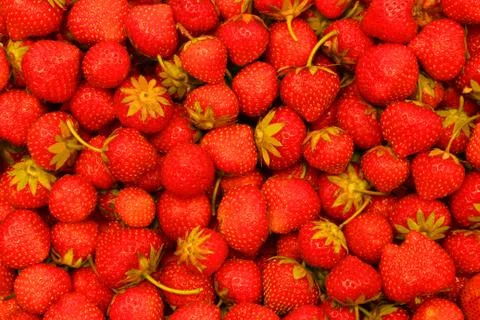 Strawberry bulk Stock Photos