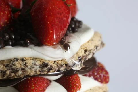 Strawberry chocolate cake 库存照片