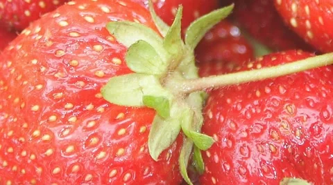 Strawberry close up Stock Footage 52101183