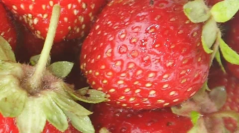 Strawberry close up 스톡 동영상 52101632