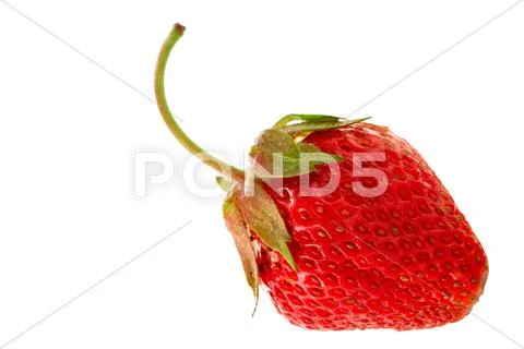 Strawberry close-up Stock Photos