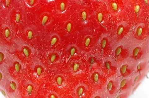 Strawberry Close Up Stock Photos