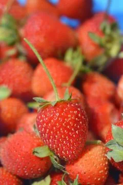 Strawberry close up Stock Photos