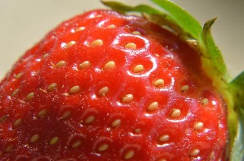 Strawberry close up Stock Photos